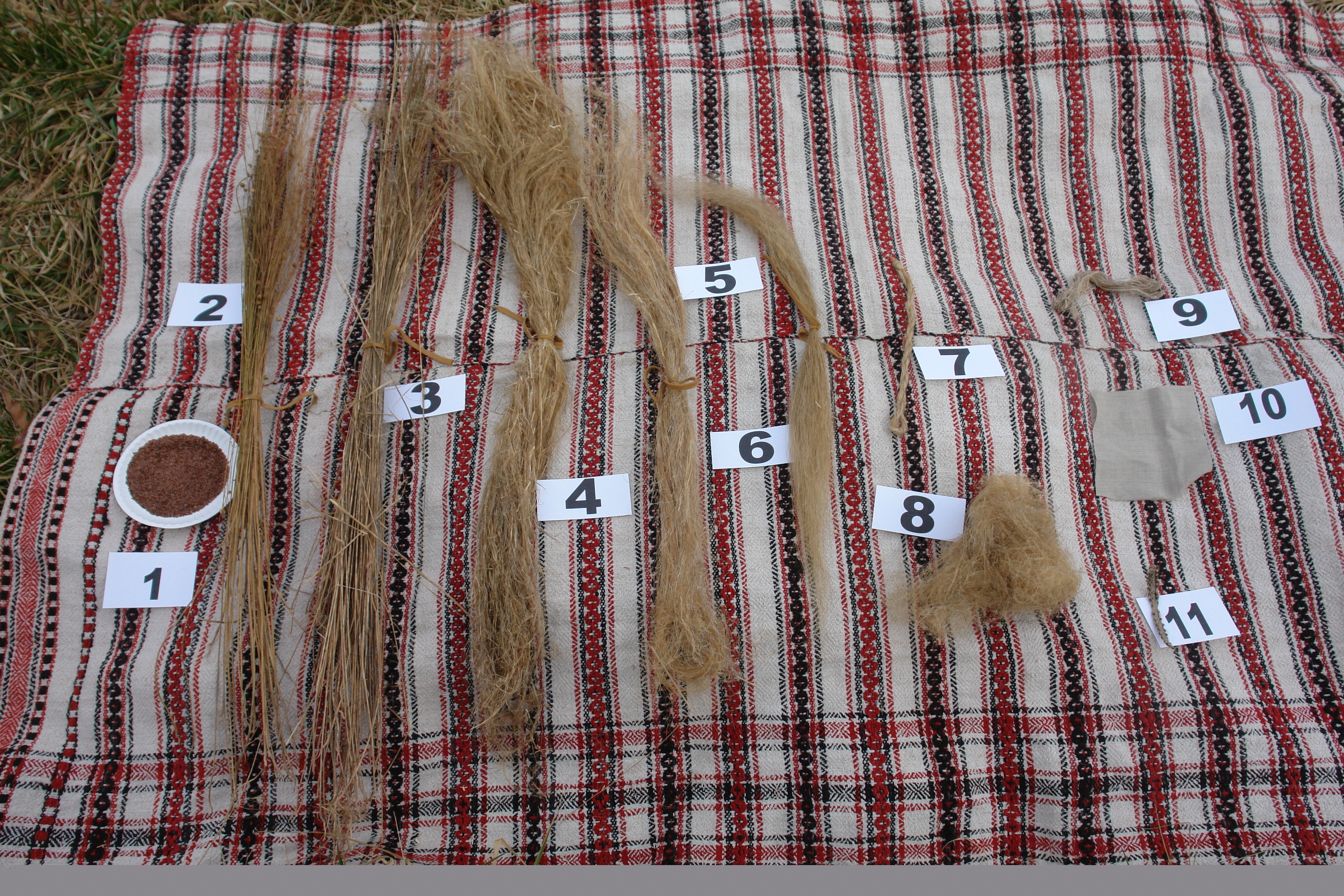 flax_kit